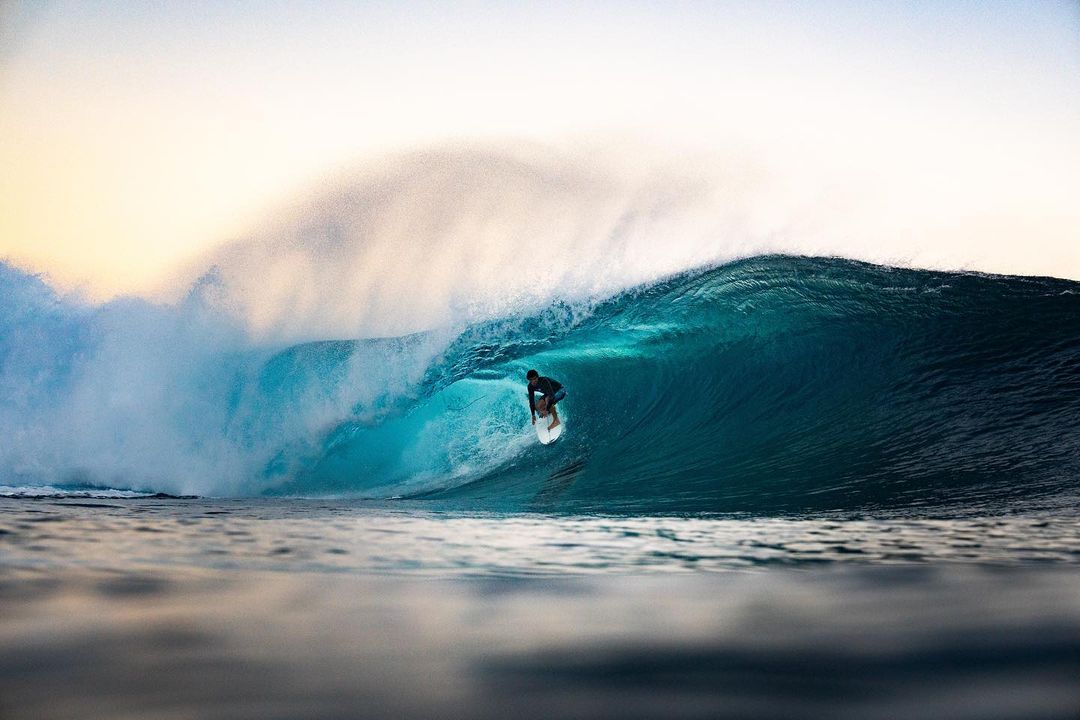 ACF / ALAN CLELAND FILE | アラン・クリーランド・ファイル