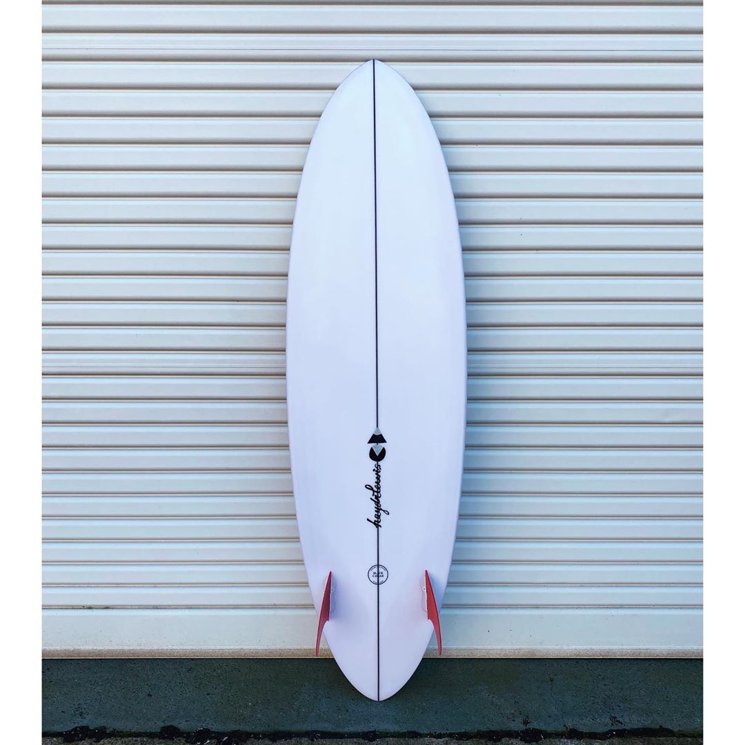 Haydn Lewis | Black Caviar Twin