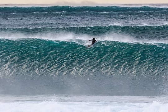 Timmy Patterson / Surfboard Builder｜ティミー・パターソン