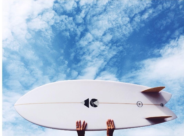 ヘイデンルイス　オンフィン INFORMATION｜ライジングサン Rising Sun Ltd